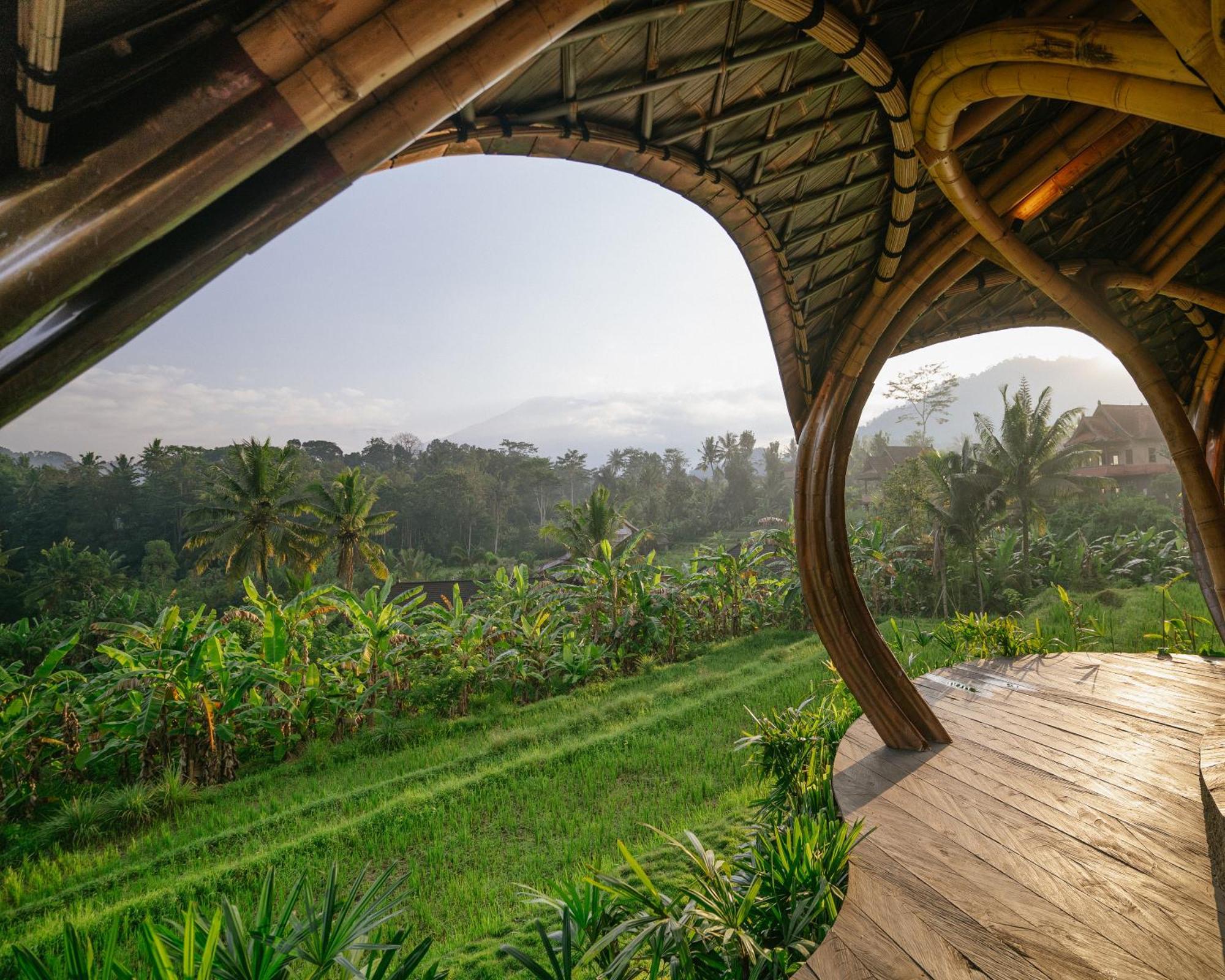 Veluvana Bali Sidemen  Camera foto